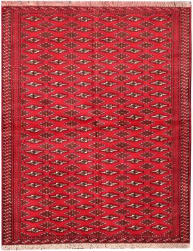 Persian Rug 151 x 98 red 