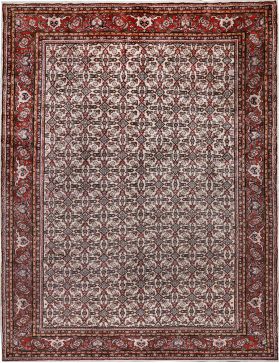 Persian Rug 300 x 205 beige 